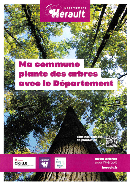 Affiche 8000 arbres